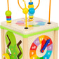 INSECT MOTOR SKILLS TRNG CUBE