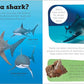 SHARKS AND OTHER CREATURES OF THE DEEP