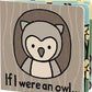 IF I WERE AN OWL BOOK