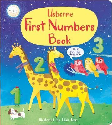 FIRST NUMBERS BOOK USBORNE