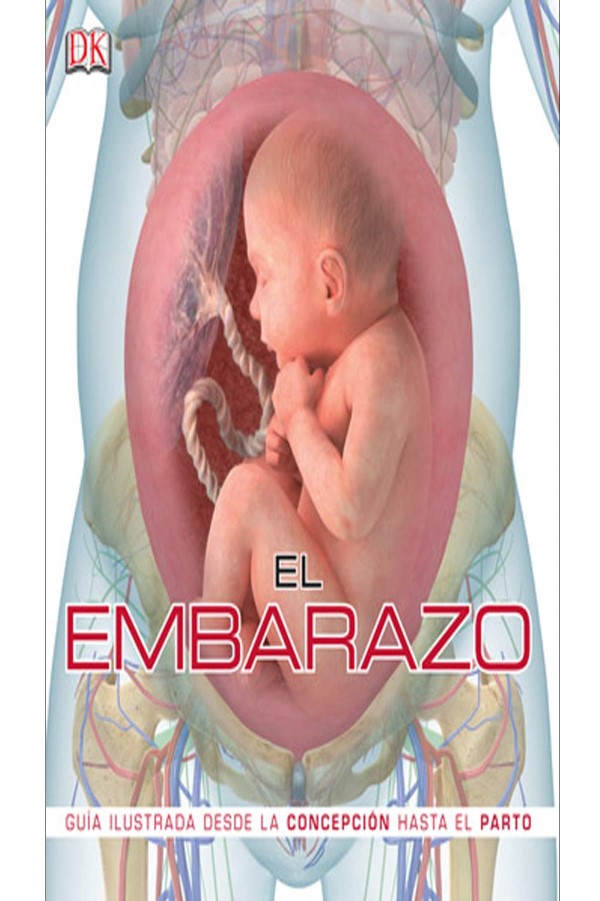 El Embarazo