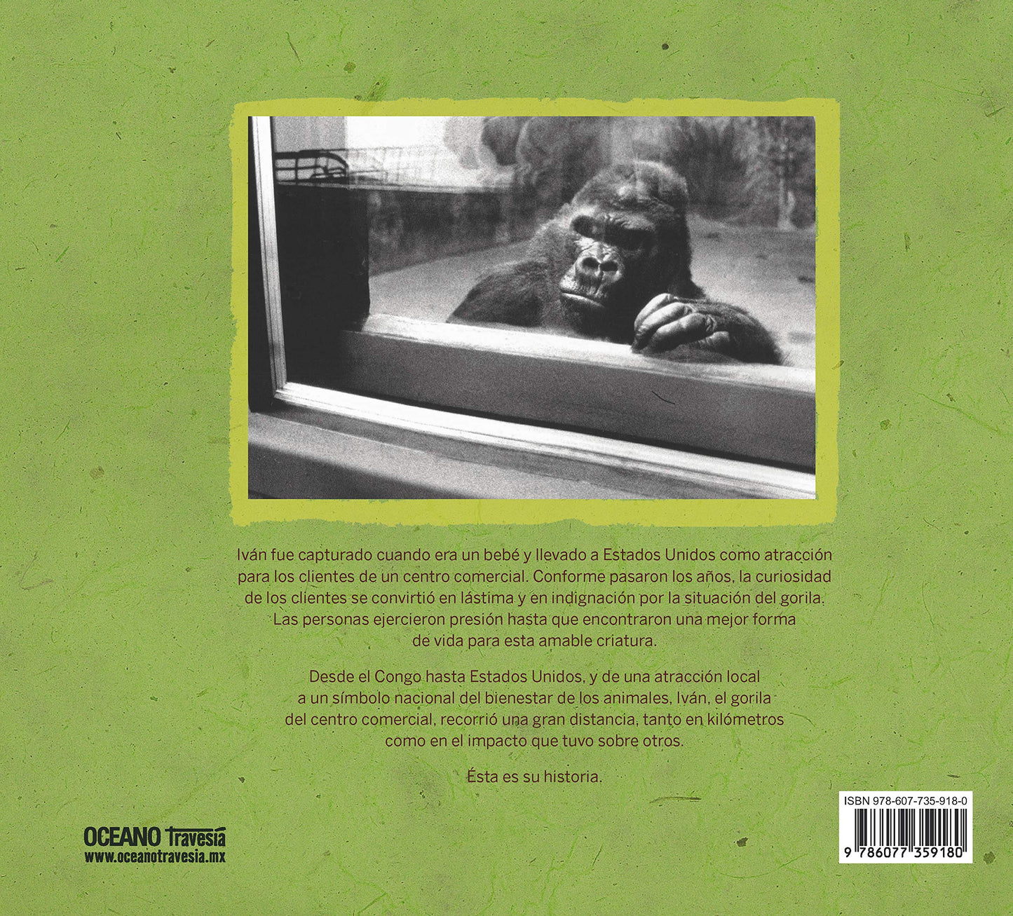 Ivan La Increible Historia Del Gorila Del Centro Comercial