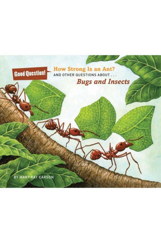 How Strong Is An Ant?